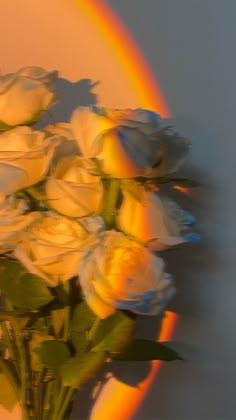 a vase filled with white flowers next to a rainbow