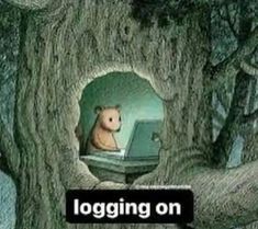 a hamster is sitting in a tree with a laptop on it's lap