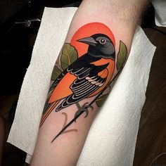 a black and orange bird sitting on top of a leafy branch with an orange sun in the background