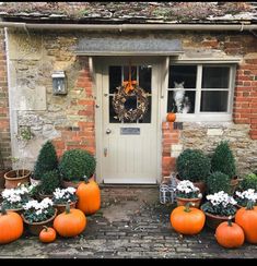 pumpkins and flowers in front of a house with a cat sitting on the door