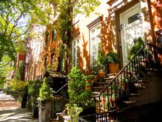 an apartment building with potted plants on the steps