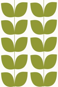 four green leaves are arranged in rows on a white background, each with different colors