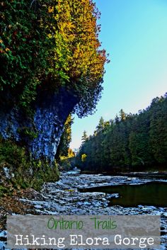 a river surrounded by trees with the words hiking elora gorge