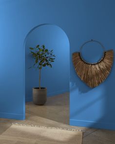 a potted plant sitting next to an arch in a blue walled room with a rug on the floor