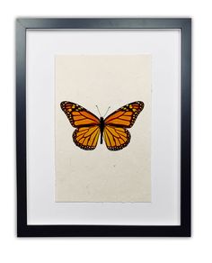 an orange and black butterfly is shown in a white frame on a white wall with a black border around it