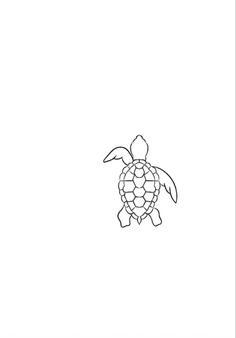 a black and white drawing of a turtle