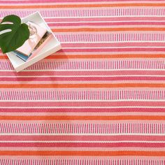 a pink and orange striped table cloth with a plant on top of it, next to a magazine