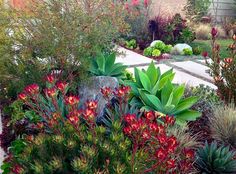 a garden filled with lots of different types of flowers and plants in front of a house