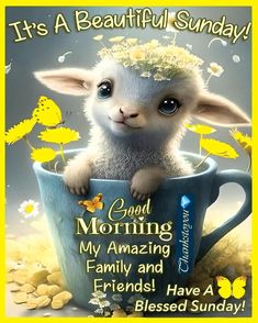 a little lamb sitting in a cup with flowers on it's head and the words good morning my amazing family and friends have a blessed sunday