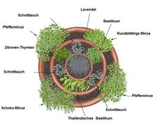 Sie möchten eine Kräuterspirale anlegenWir zeigen Ihnen zwei Bauanleitungen und Bepflanzung-Plansdie Sie bei der Aufgabe unterstützen. Herb Tower, Herb Spiral, Herb Garden Pots, Container Herb Garden, Herb Containers, Herb Garden Design, Texas Gardening, Herb Pots, Creative Gardening