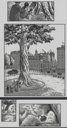 the storyboard is shown in black and white, with an image of a tree