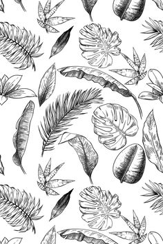 Elevate your space with Black and White palm leaves peel and stick wallpaper on sale. Art With Plants, Ash Wallpaper, Wall Makeover, Palm Wallpaper, White Plants, Tree Wallpaper, Wallpaper Art, Other Space, Black And White Drawing