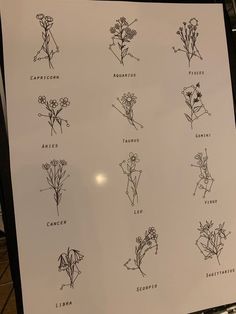 an image of flowers drawn on a sheet of paper