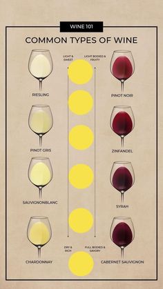 a wine glass chart with different types of wine in each glass and the names on it