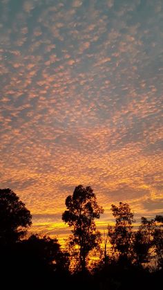 the sun is setting behind some trees and clouds in the sky, with only one cloud visible