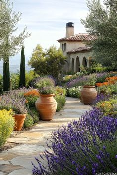 Sustainable Garden Design, Mediterranean Beauty, Mediterranean Plants, Italian Garden, Outdoor Gardens Design, Mediterranean Garden