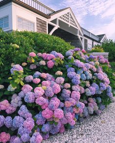 some purple and blue flowers in front of a house