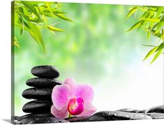 a pink flower sitting on top of black rocks next to bamboo leaves and green foliage