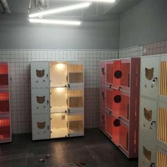 several lockers are lined up in a room