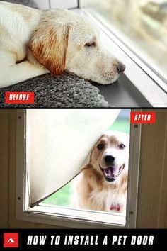 the before and after pictures show how to install a pet door