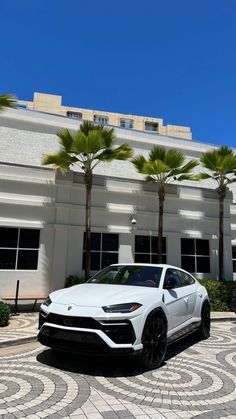 a white lamb suv parked in front of a building with palm trees on the side