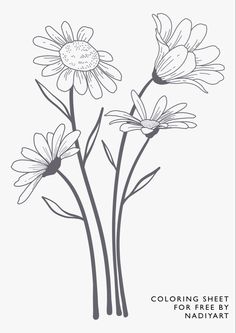 three daisies with the words coloring sheet for naddery on it in black and white