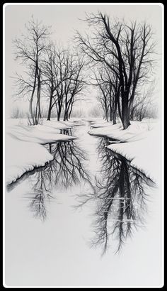 a black and white photo of trees in the snow with water reflecting it's reflection