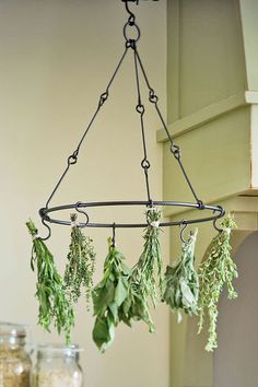 herb drying rack hanging from the ceiling