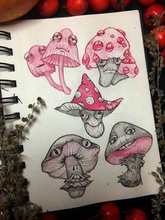 an open notebook with drawings of mushrooms on it next to some red apples and berries