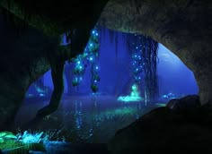 an underwater scene with blue lights in the water and plants growing out of the rocks