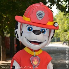 a fireman dalmatian mascot wearing a red hat and orange shirt with the paw patrol on it's chest