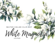 watercolor clipart white flowers with green leaves