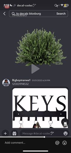 an image of a keyboard with the words keys on it and a tree in the background