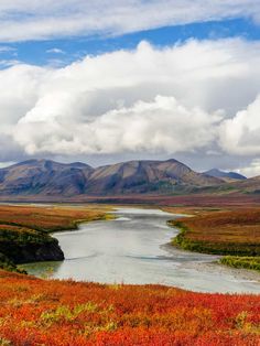 Arctic Tundra: Autumn Colors Along the Noatak River Arctic Mountains, Alaska Bucket List, Wild Park, Mountain S, Alaskan Wilderness, Arctic Tundra, Float Trip, River Rafting