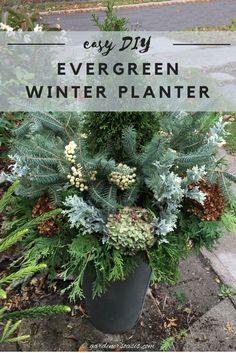 How To Make An Evergreen Winter Planter | Container Gardening Christmas Planters Diy, Evergreen Planters, Evergreen Container, Outside Planters, Front Door Planters, Front Porch Planters, Porch Plants