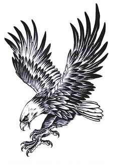 an eagle is flying in the air with its wings spread out and talons outstretched