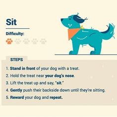 a blue dog standing on top of a white floor next to a sign that says sit