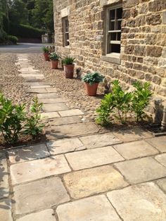 there are many potted plants on the side of this stone building, along with other planters