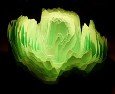 a large green flower sitting on top of a black table next to a light bulb