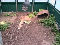 an outdoor area with dirt, plants and a lamp hanging from the side of it