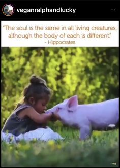 Animal Activism Quotes, Save Environment, Pig Memes Hilarious, Water Waste, Animal Rights Activist, Cows Meme Hilarious, Vegan Memes Truths, Gallon Of Water, All Souls