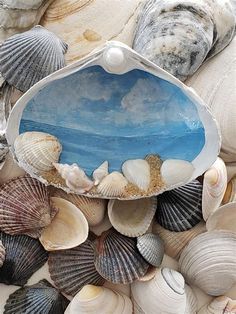 seashells and sea shells are arranged on the beach