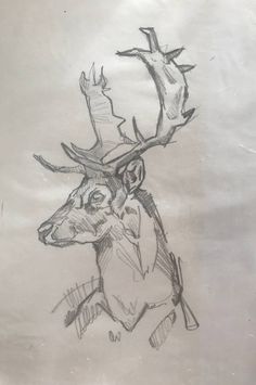 a drawing of a deer with antlers on it's head