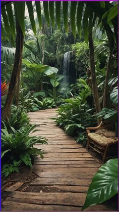 a wooden walkway surrounded by tropical plants and trees