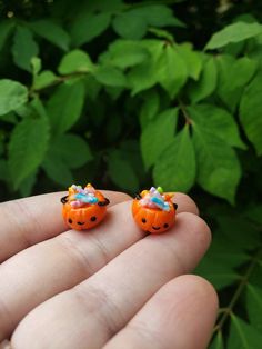 two tiny orange pumpkins are sitting on someone's hand