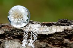 a glass ball with a white flower inside sitting on a tree branch next to a chain