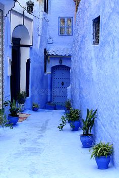 an alley way with blue walls and potted plants on either side, in morocco