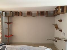 an empty room with shelves and cat toys on the wall, including a ladder for cats to climb up