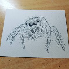 a drawing of a spider sitting on top of a wooden table