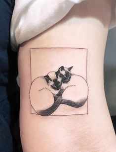 a black and white cat sitting on top of a tree branch in a square tattoo